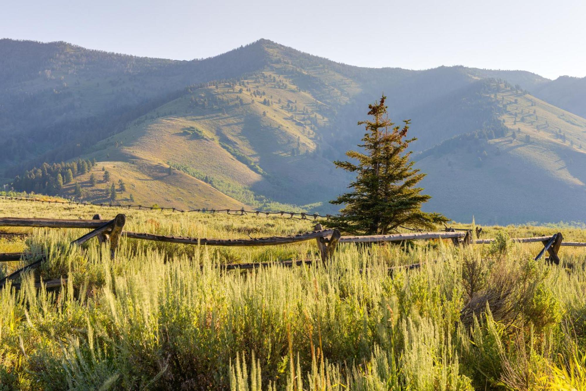 Cozy Island Park Cabin, 20 Mi To Yellowstone! 외부 사진